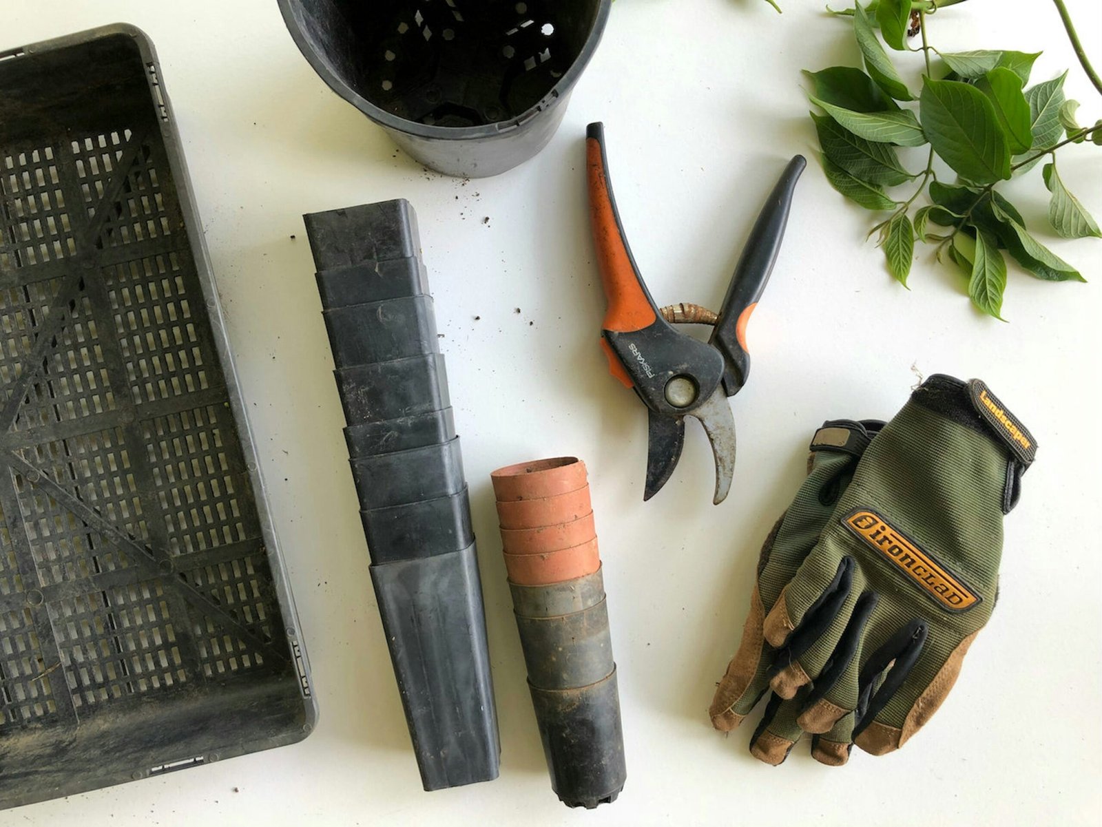 The Best Gardening Tools for Beginners